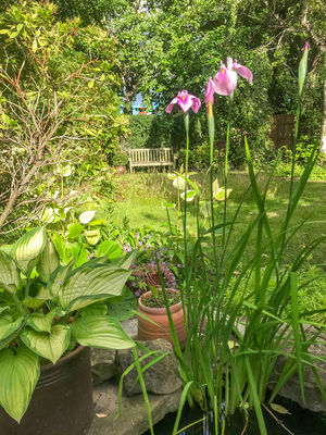 Photo 26- click for photo gallery